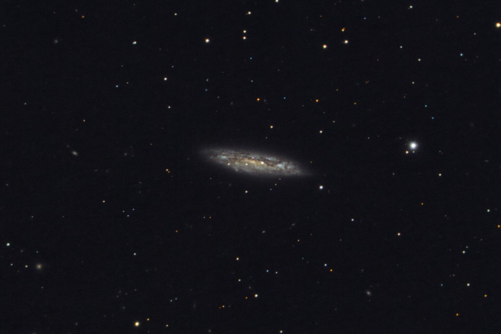 Messier 108 (M108, NGC 3556)