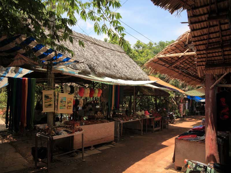 Nhà cổ Thới Sơn